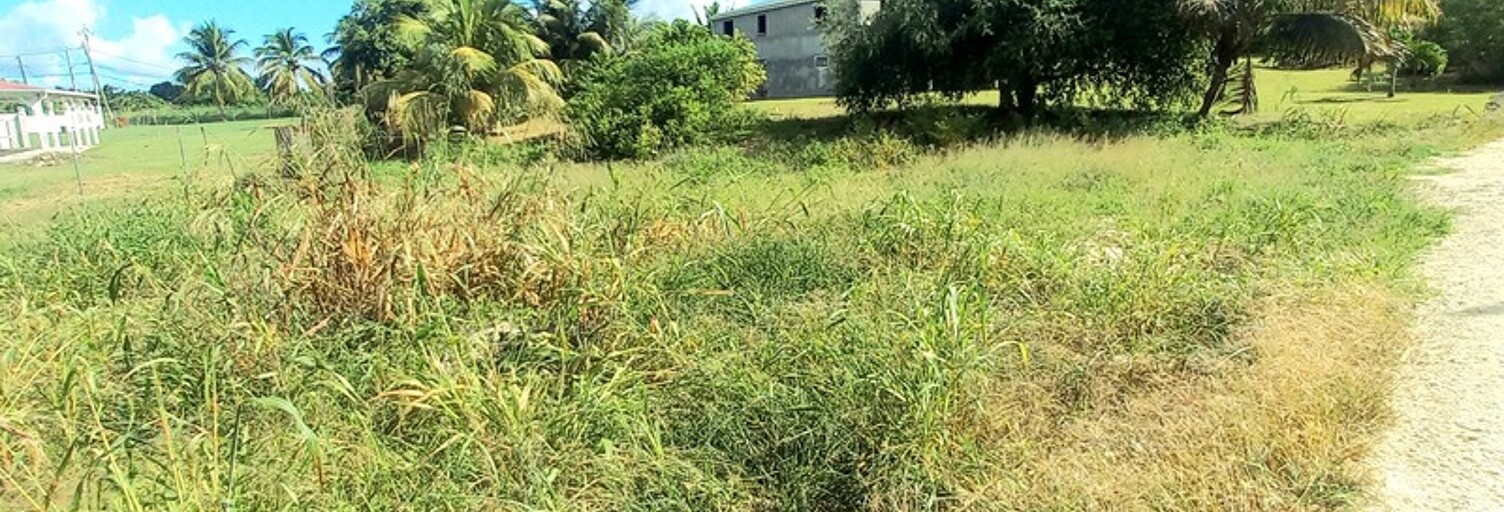 Terrain  600 m² à vendre à Saint-François (97118)