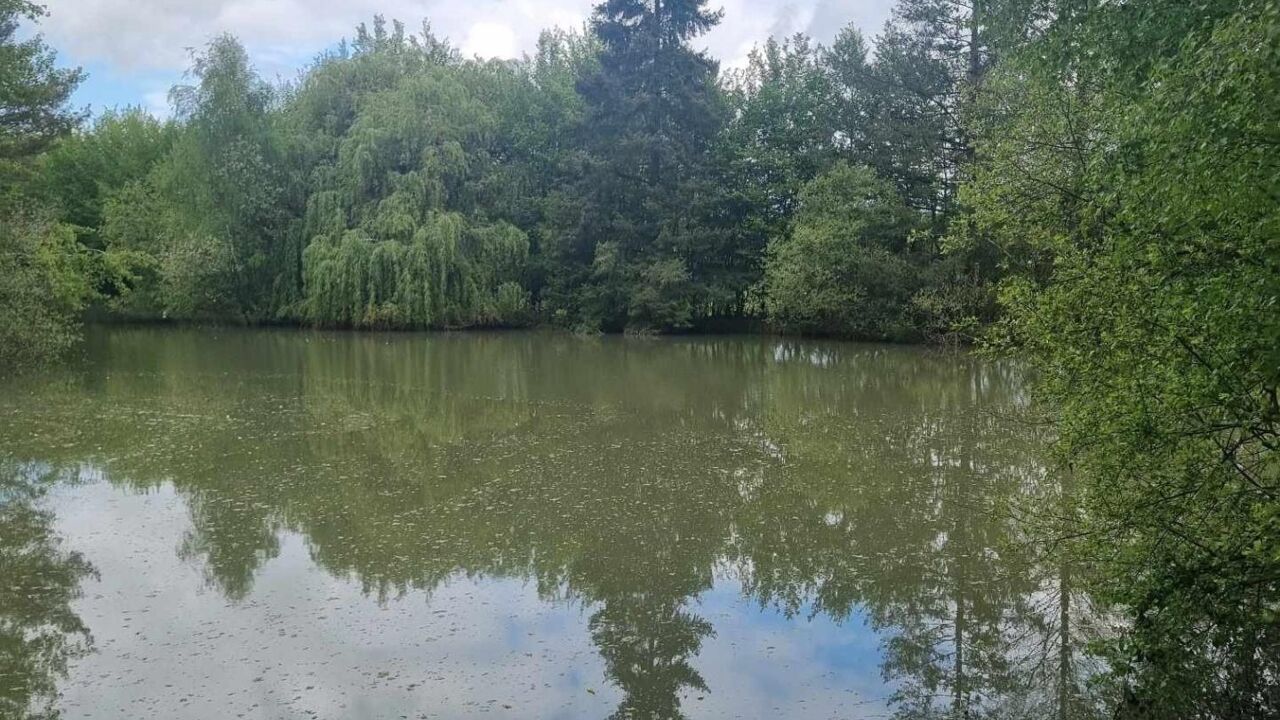 terrain  pièces 20000 m2 à vendre à Le Controis-en-Sologne (41700)