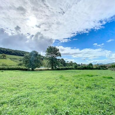 Terrain  60000 €