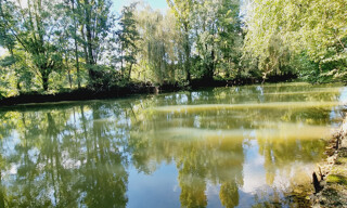 Photo N° 3