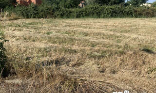 Terrain  568 m² à vendre à Longages (31410)