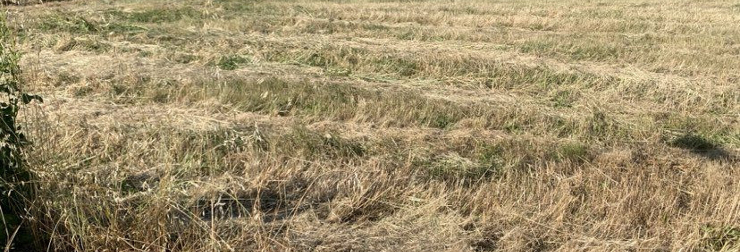 Terrain  568 m² à vendre à Longages (31410)