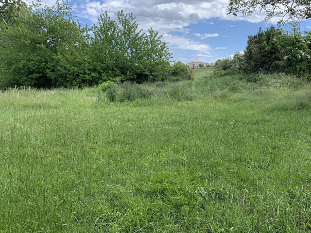Terrain à vendre Carbonne — photo du bien