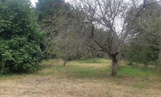 Photo N° 8