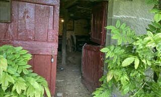 Photo N° 5