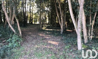 Photo N° 4