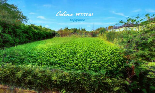 Terrain  350 m² à vendre à Iffendic (35750)