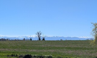 Photo N° 2