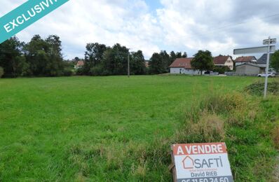 vente terrain 60 000 € à proximité de Spechbach-le-Bas (68720)