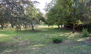 Photo N° 4