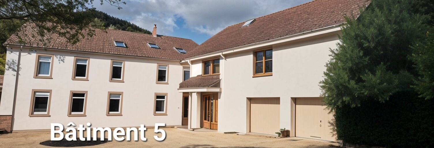 Immeuble  350 m² à vendre à Plainfaing (88230)