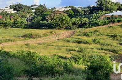 terrain  pièces 1935 m2 à vendre à Saint-François (97118)