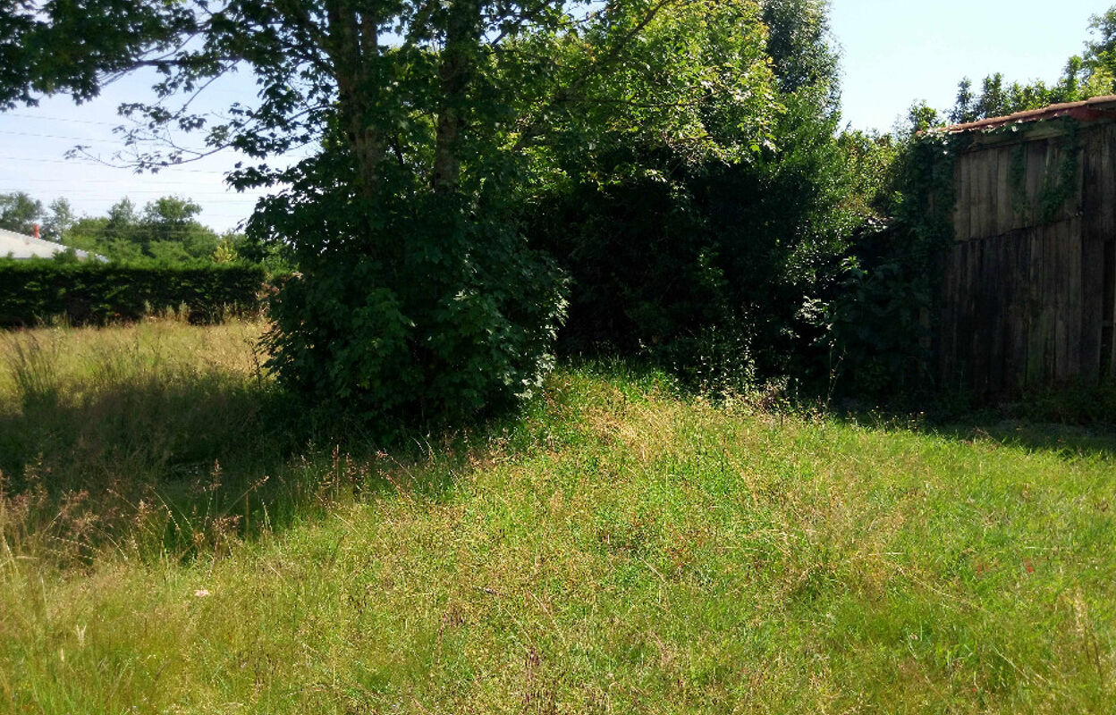 terrain  pièces 550 m2 à vendre à Marcheprime (33380)