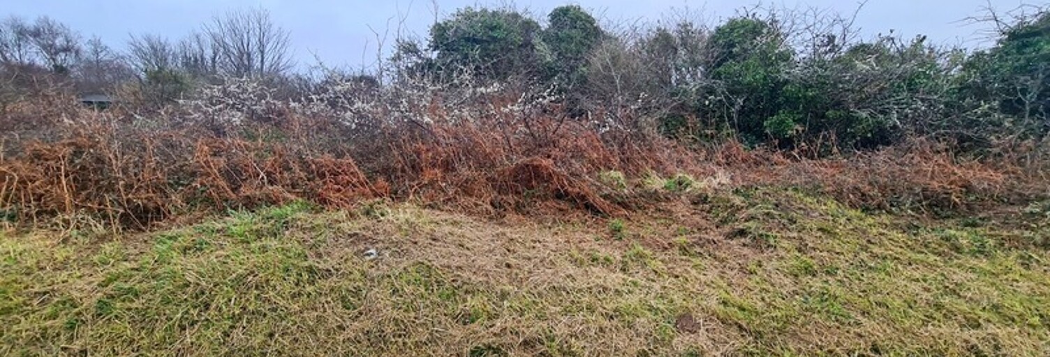 Terrain  1862 m² à vendre à Crozon (29160)