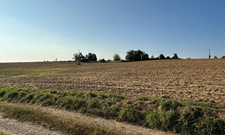 Photo N° 8