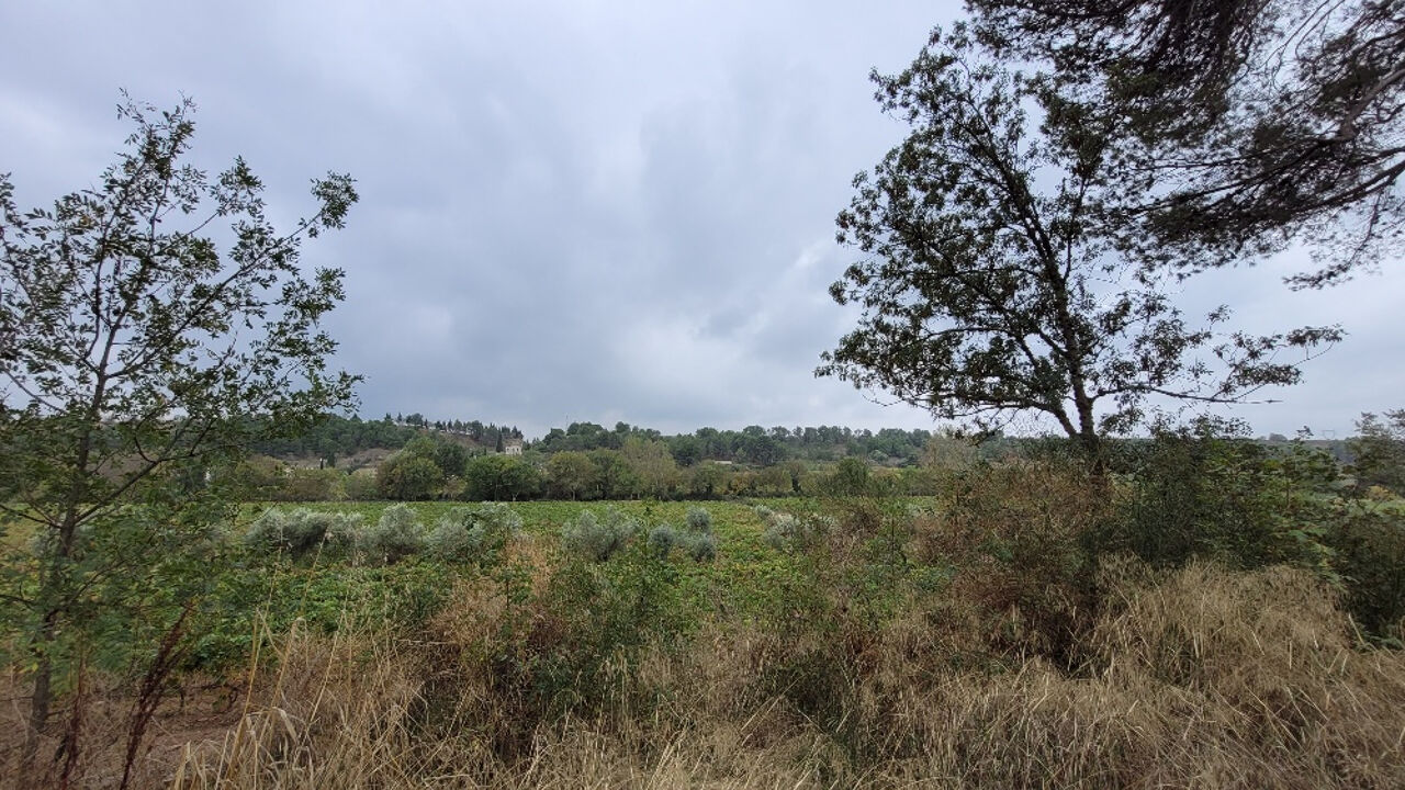 terrain  pièces 1500 m2 à vendre à Rieux-Minervois (11160)