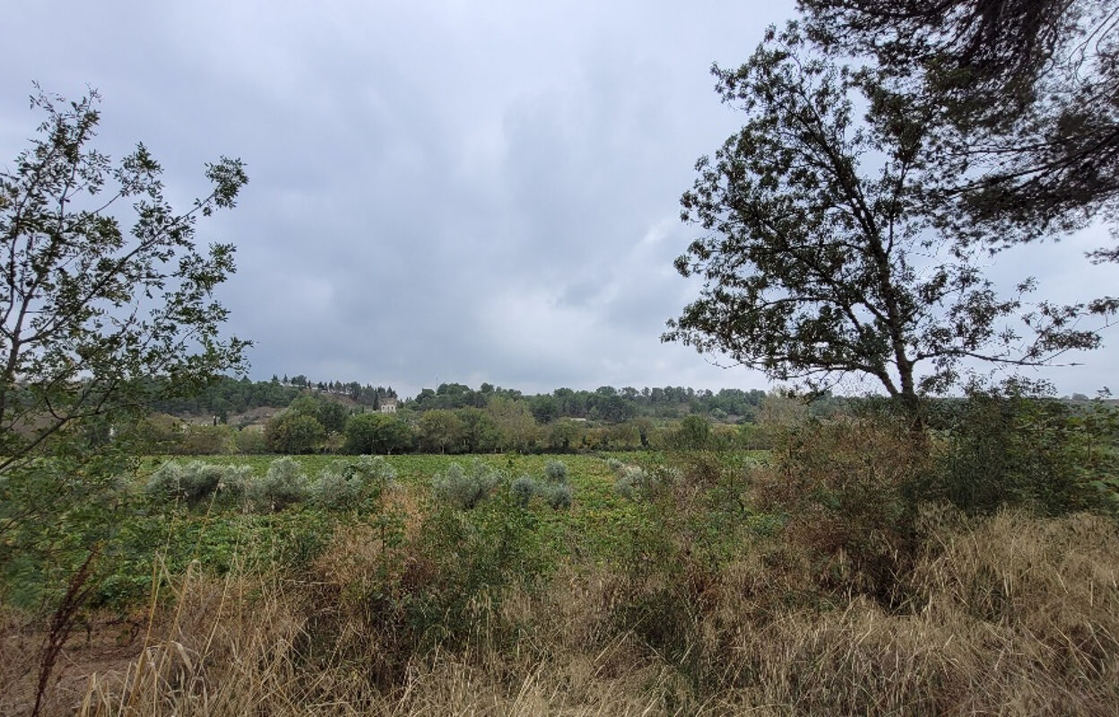 terrain  pièces 1500 m2 à vendre à Rieux-Minervois (11160)