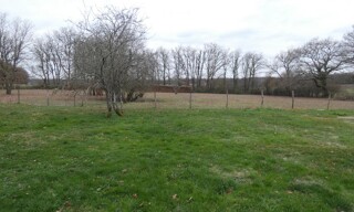 Photo N° 3
