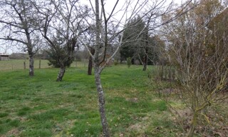 Photo N° 5