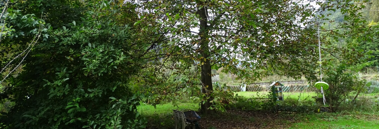 Terrain  1000 m² à vendre à La Léchère (73260)