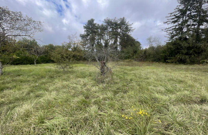 TERRAIN 5 MINUTES DE SENS 3400M2 — photo 3