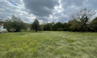 Photo N° 5