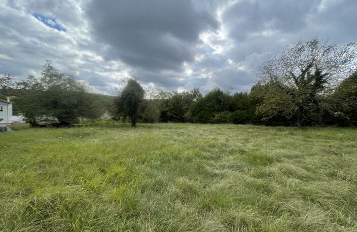 TERRAIN 5 MINUTES DE SENS 3400M2 — photo 5
