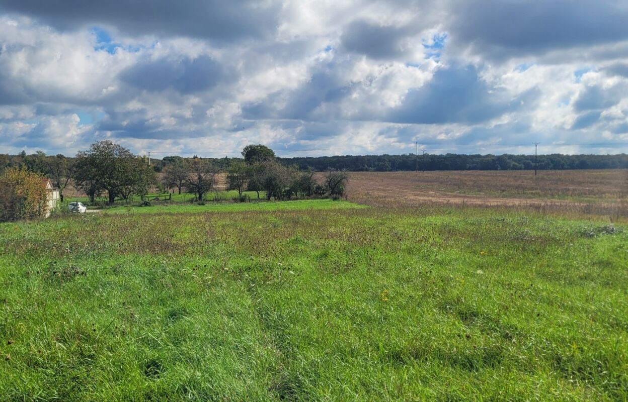 terrain  pièces 1917 m2 à vendre à La Groutte (18200)