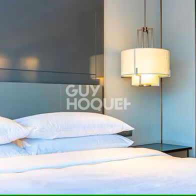 Commerce  498000 €