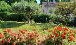 Photo N° 3