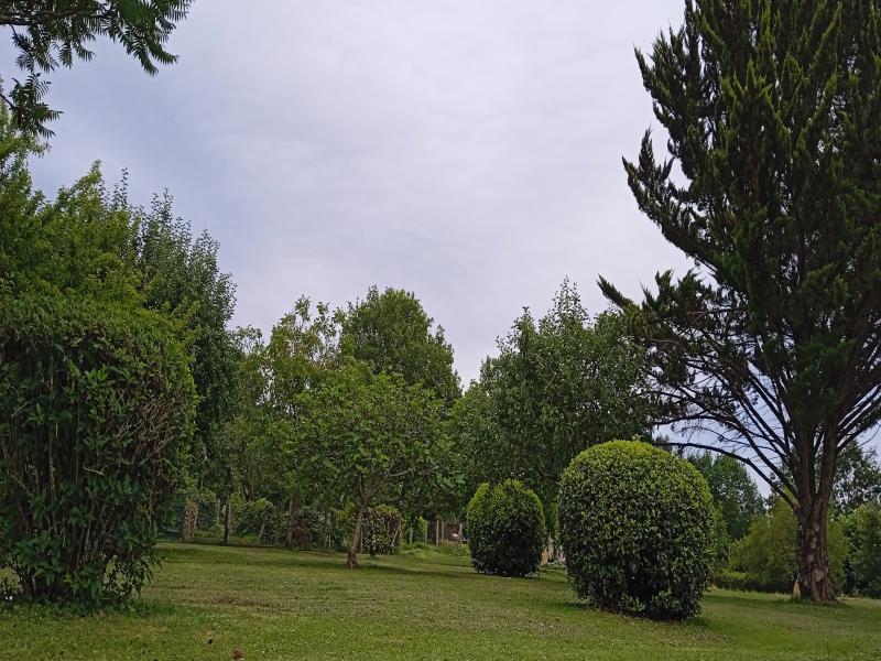 Terrain  à vendre Sourzac 24400