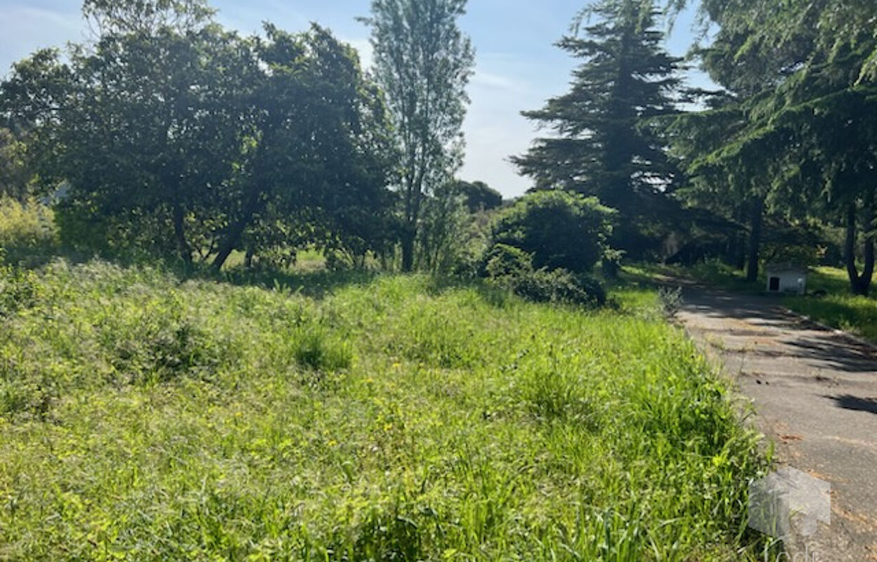 terrain  pièces 570 m2 à vendre à Narbonne (11100)