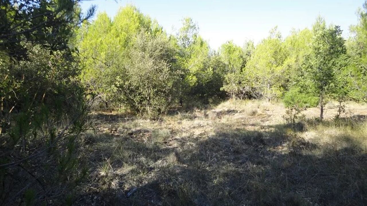 terrain  pièces 23880 m2 à vendre à Esparron-de-Verdon (04800)