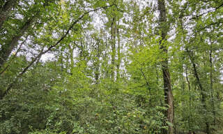 Terrain  1963 m² à vendre à Pont-sur-Yonne (89140)