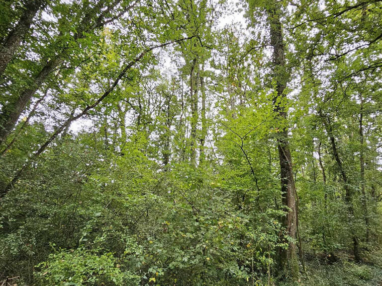 Terrain à 5min de PONT-SUR-YONNE — photo 1