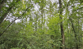 Terrain  1963 m² à vendre à Montereau-Fault-Yonne (77130)
