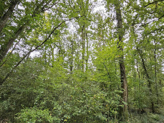 Terrain à 30min de MONTEREAU-FAULT-YONNE — photo du bien