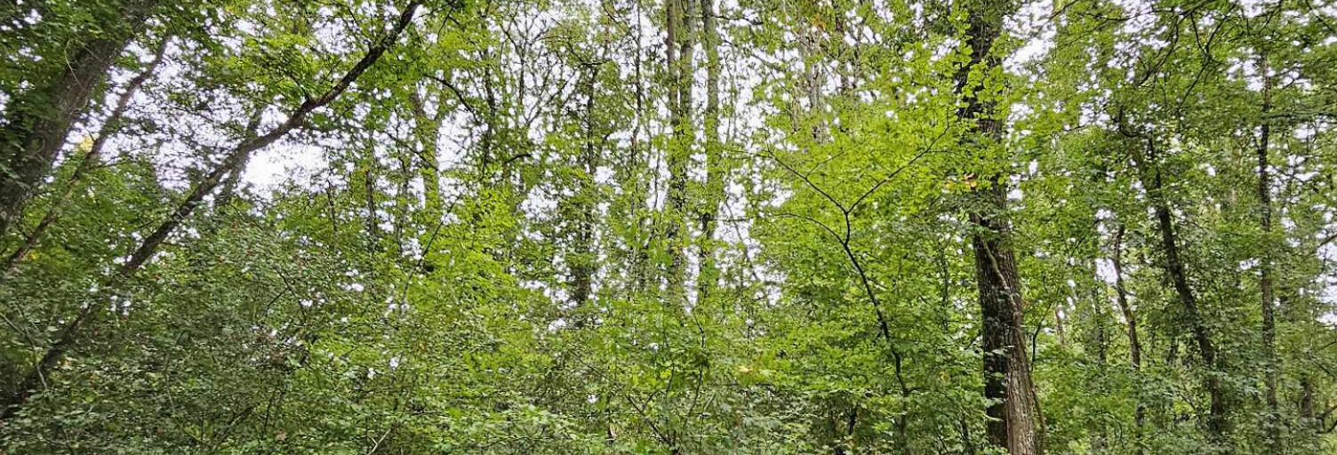 Terrain  1963 m² à vendre à Montereau-Fault-Yonne (77130)