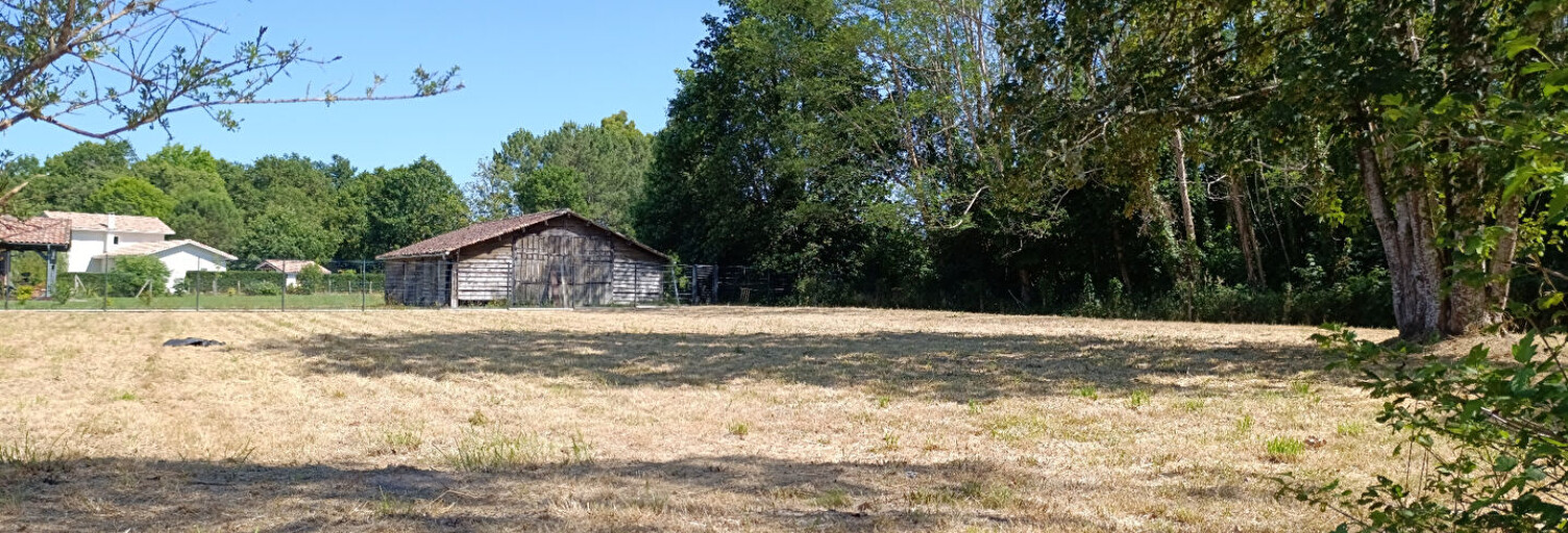 Terrain  1384 m² à vendre à Linxe (40260)