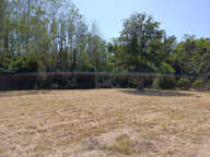 LINXE — photo 2