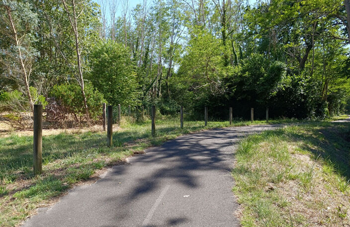LINXE — photo 3