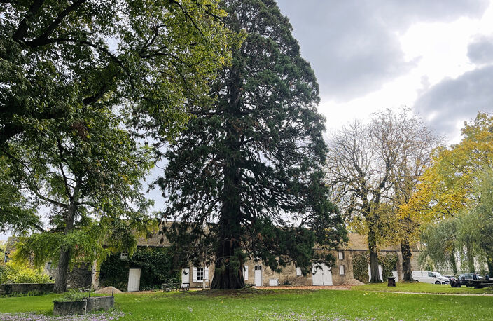 5 MIN BEAUNE - Propriété XVIIIème sur 1,4Ha — photo 3