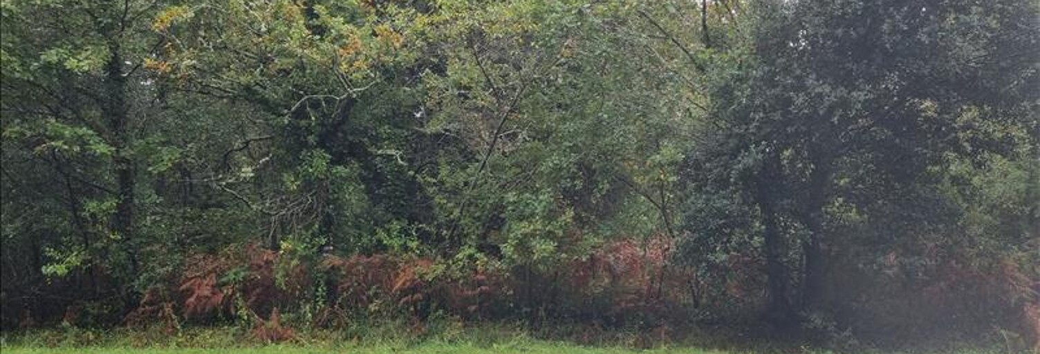 Garage   m² à vendre à La Tremblade (17390)