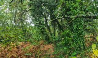 Garage   m² à vendre à La Tremblade (17390)