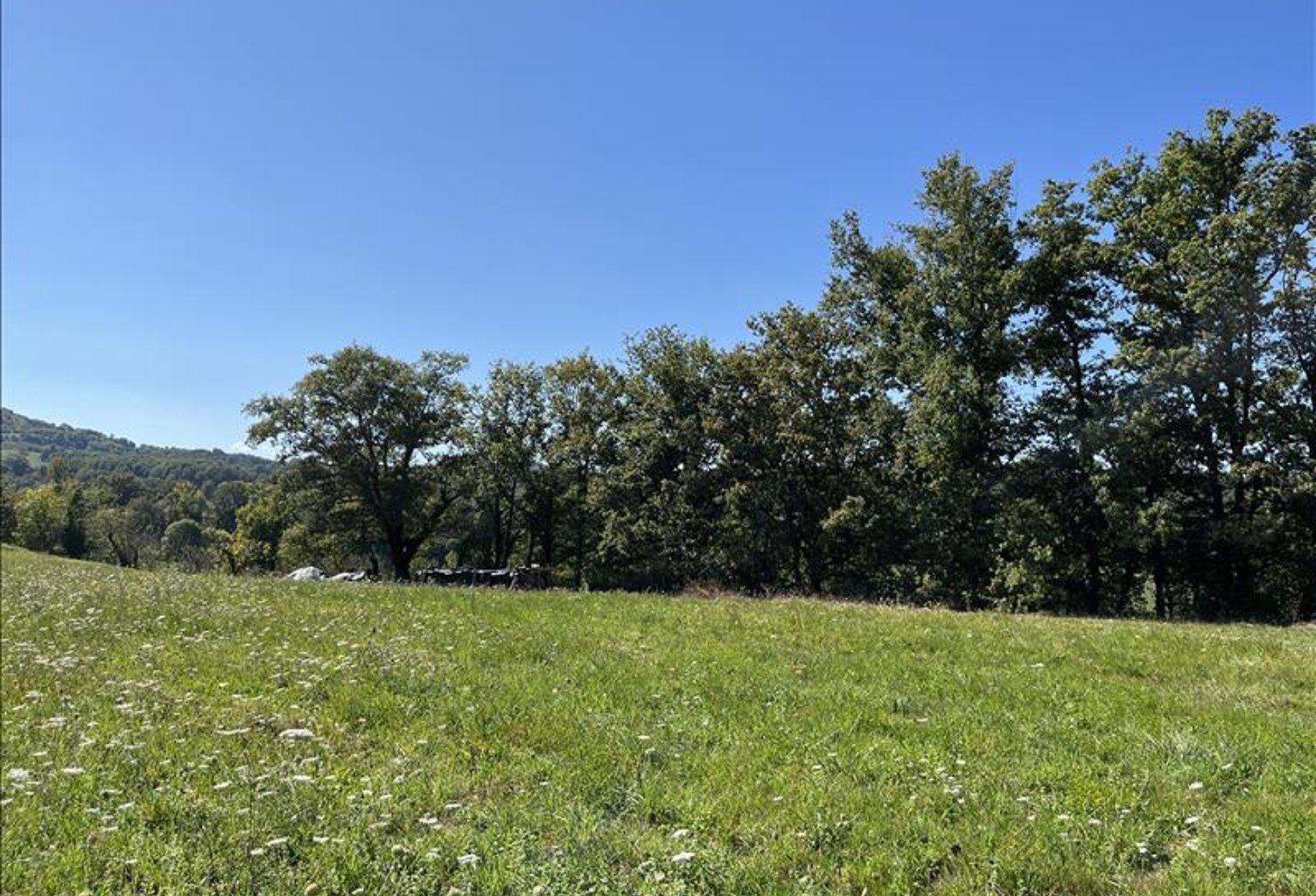 Vente terrain  1145 m² Saint-Cyprien (19130) — photo 1