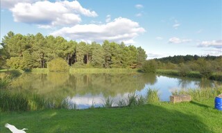 Maison 6 Pièces 153 m² à vendre à Le Controis-en-Sologne (41700)