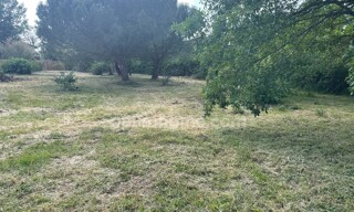 Photo N° 4