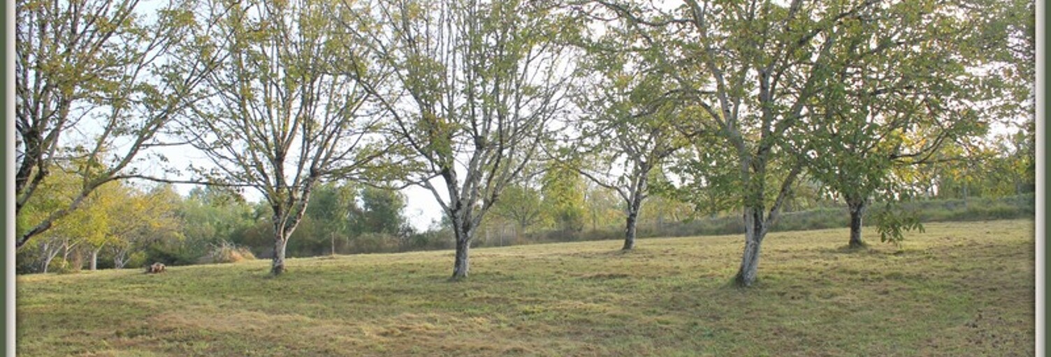 Terrain  5090 m² à vendre à Chalais (16210)