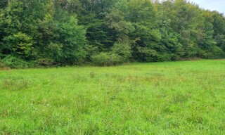 Terrain  1710 m² à vendre à Gignac (46600)