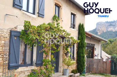 vente maison 314 000 € à proximité de Colombier-Saugnieu (69124)